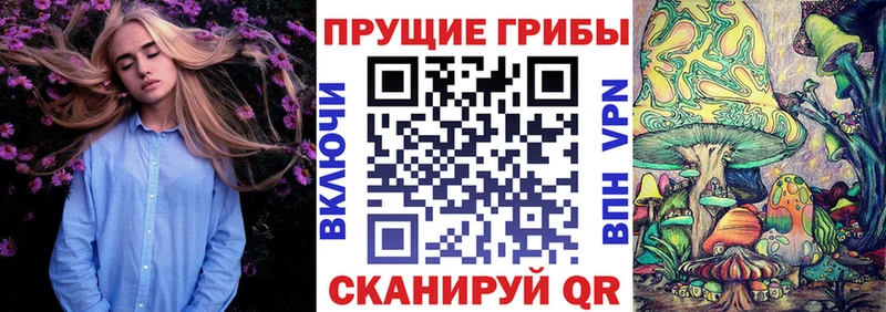 Галлюциногенные грибы GOLDEN TEACHER  это Telegram  Щёлково 